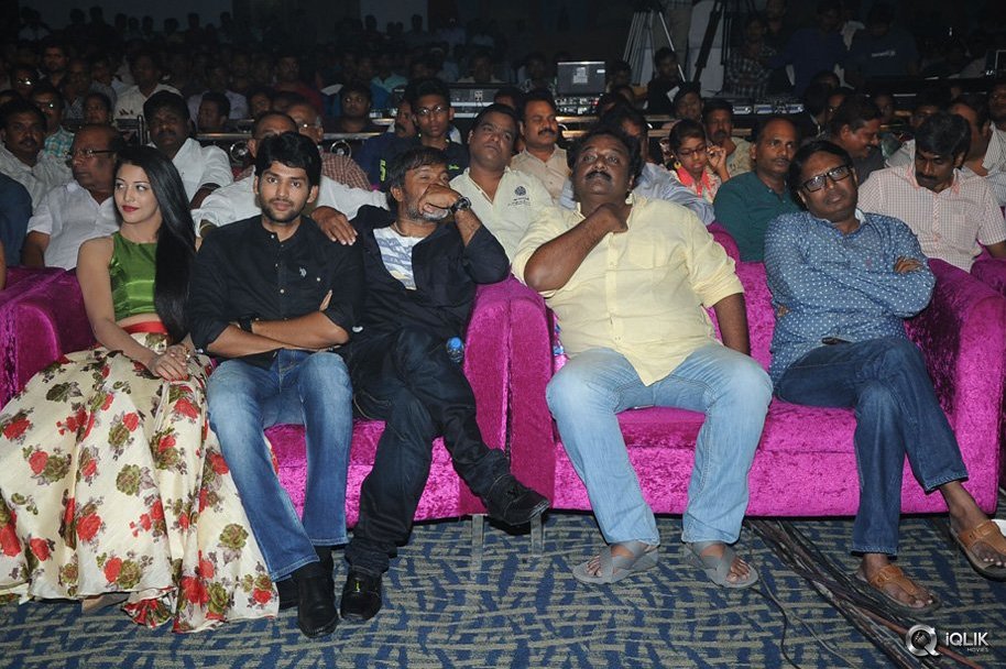 Hora-Hori-Movie-Audio-Launch